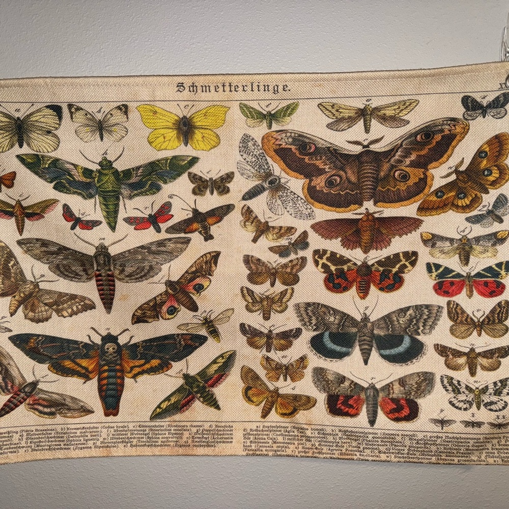 SHEIN Vintage Style Butterfly Wall Art Decor in German
